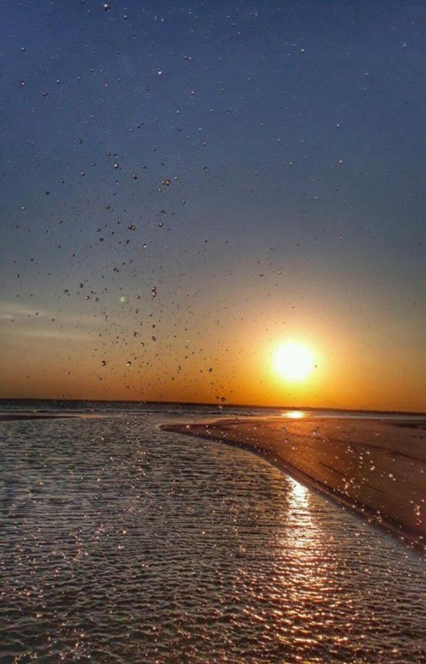 Pousada Praia Mansa - Ana E Agnaldo Superagui Buitenkant foto